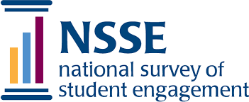 NSSE Logo