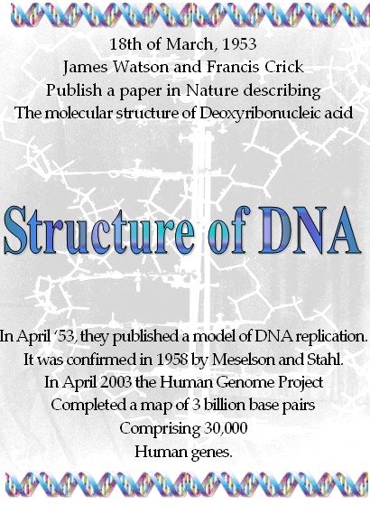 Structure of DNA