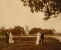 Eastern Illinois Normal School campus, Summer 1902.