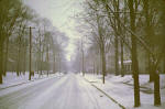 Winter, 1941