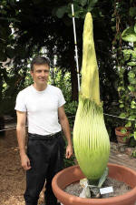 Titan arum and me