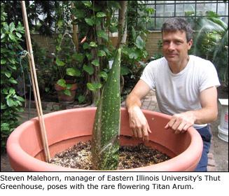 Titan Arum at EIU