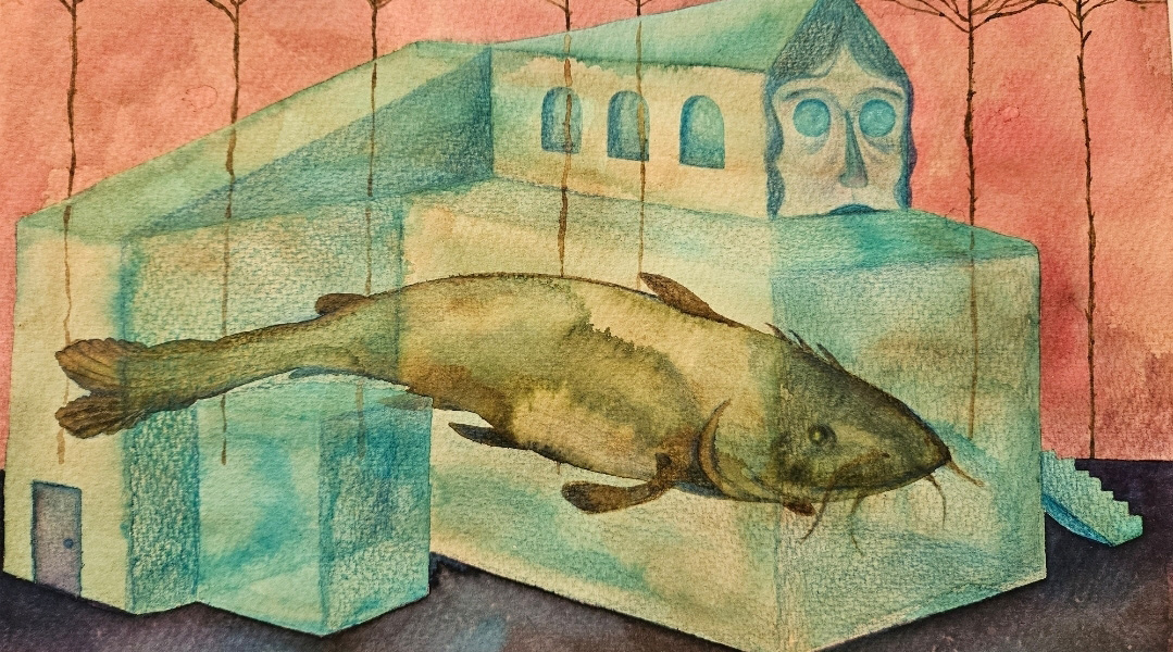 A catfish rests in a house made entirely of water. On the top part, the house has a face with wide eyes framed by hair
